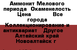 Аммонит Мелового периода. Окаменелость. › Цена ­ 2 800 - Все города Коллекционирование и антиквариат » Другое   . Алтайский край,Новоалтайск г.